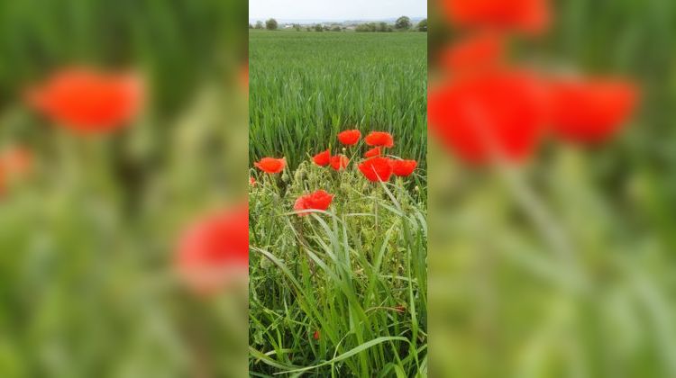 Ma-Cabane - Vente Terrain LOCRONAN, 320 m²