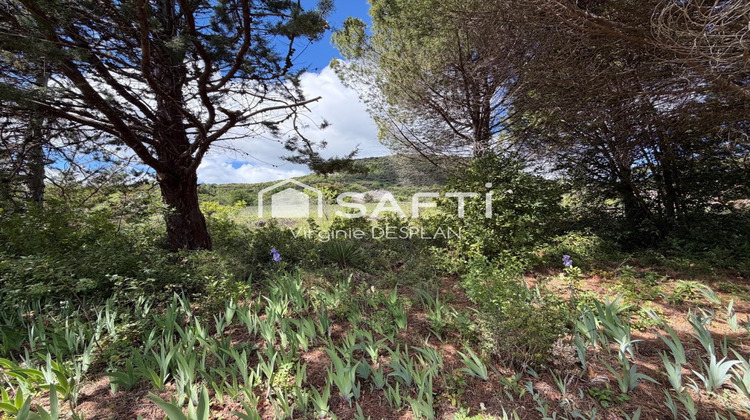 Ma-Cabane - Vente Terrain Lodeve, 5370 m²