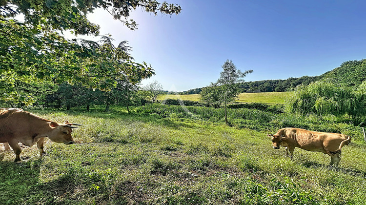 Ma-Cabane - Vente Terrain LOIGNE-SUR-MAYENNE, 23946 m²