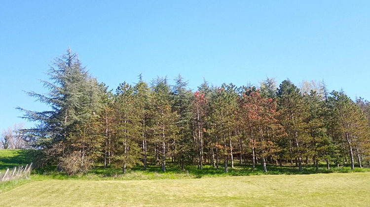 Ma-Cabane - Vente Terrain LOMBERS, 4000 m²