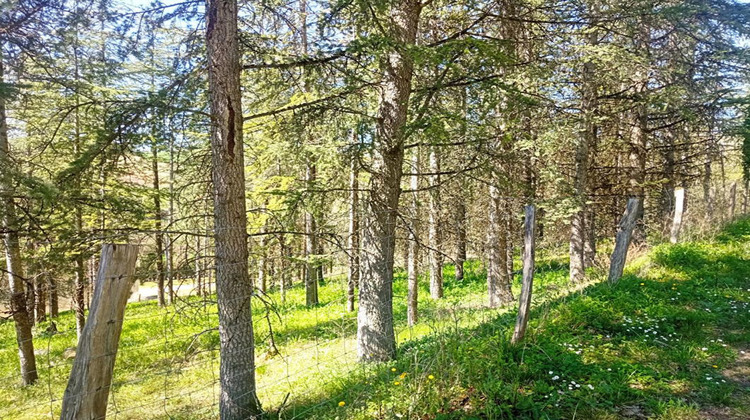 Ma-Cabane - Vente Terrain LOMBERS, 4000 m²