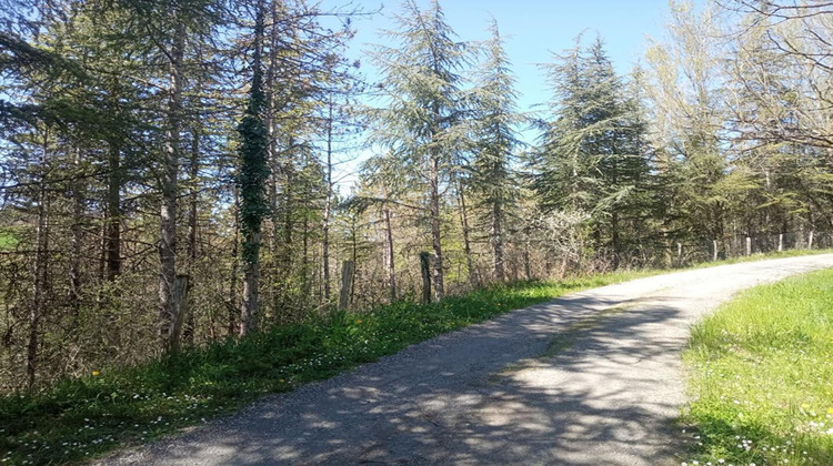 Ma-Cabane - Vente Terrain LOMBERS, 4000 m²