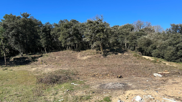 Ma-Cabane - Vente Terrain Longeville-sur-Mer, 803 m²