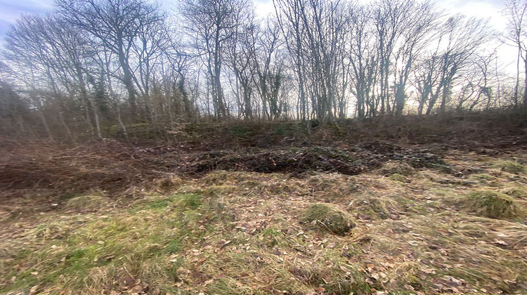 Ma-Cabane - Vente Terrain LONS-LE-SAUNIER, 9250 m²