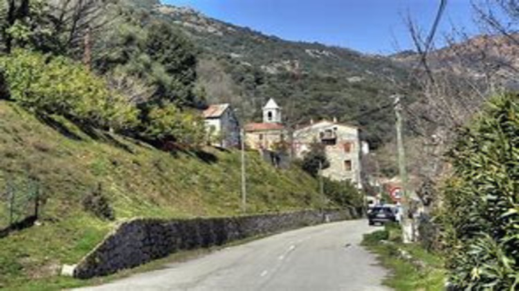 Ma-Cabane - Vente Terrain Loreto-di-Tallano, 1992 m²