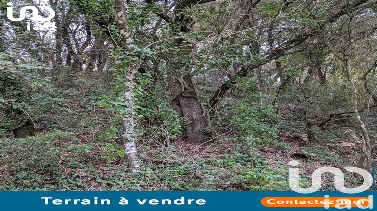 Ma-Cabane - Vente Terrain Lorgues, 6525 m²