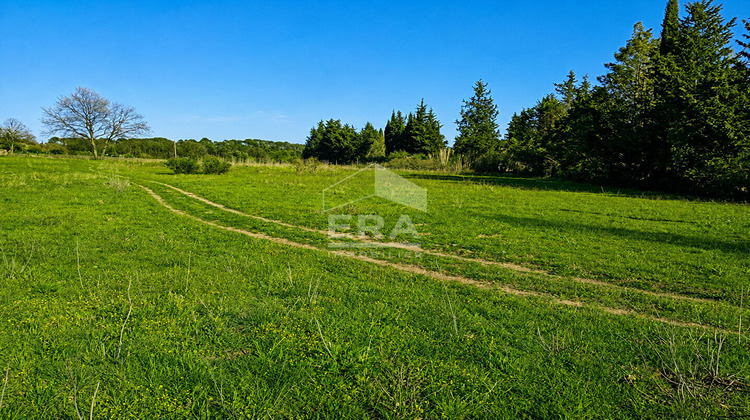 Ma-Cabane - Vente Terrain LORGUES, 7357 m²