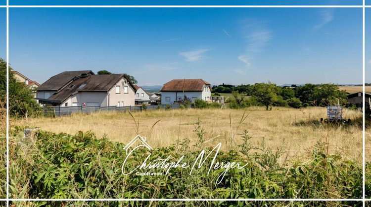 Ma-Cabane - Vente Terrain LORQUIN, 1620 m²