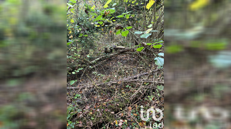 Ma-Cabane - Vente Terrain Lorry-Lès-Metz, 732 m²