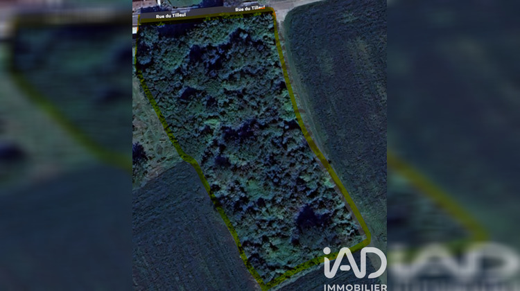 Ma-Cabane - Vente Terrain Louatre, 6513 m²