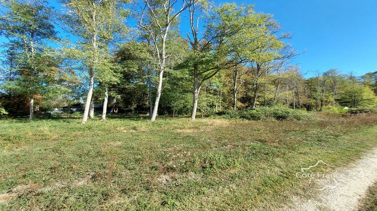 Ma-Cabane - Vente Terrain Louchats, 6050 m²