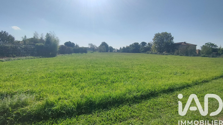 Ma-Cabane - Vente Terrain Loupiac, 4240 m²