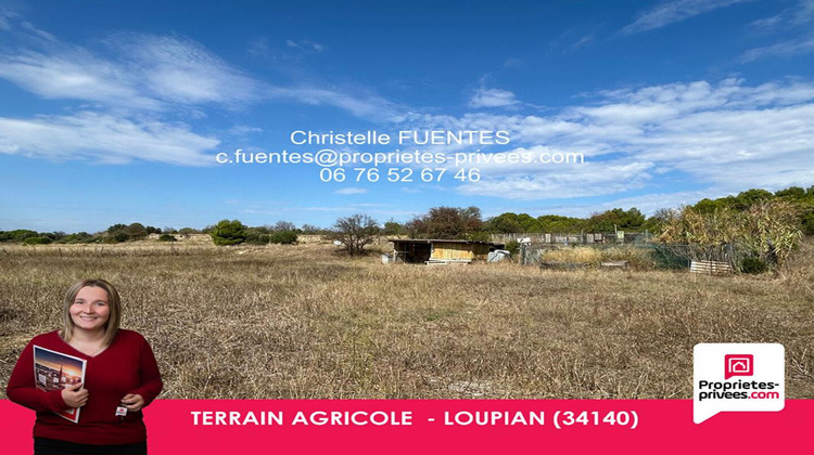 Ma-Cabane - Vente Terrain LOUPIAN, 3850 m²