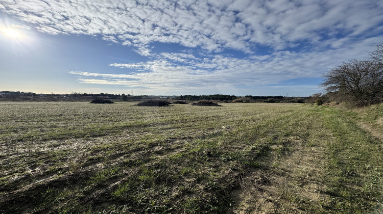 Ma-Cabane - Vente Terrain LOUPIAN, 8216 m²