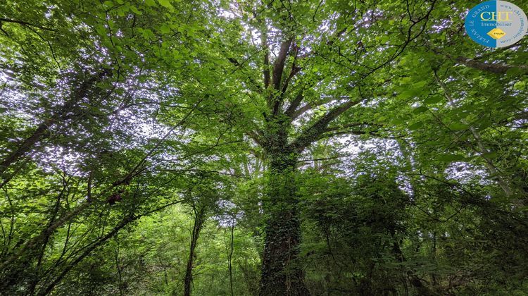 Ma-Cabane - Vente Terrain Loutehel, 5035 m²