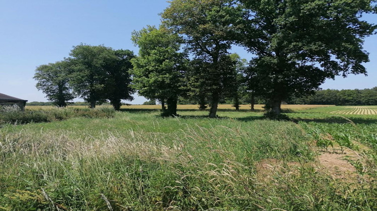 Ma-Cabane - Vente Terrain LOYAT, 2000 m²