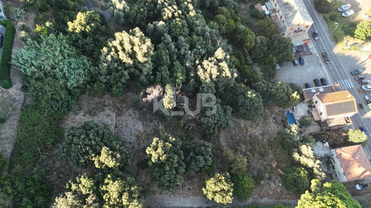 Ma-Cabane - Vente Terrain LUCCIANA, 3798 m²