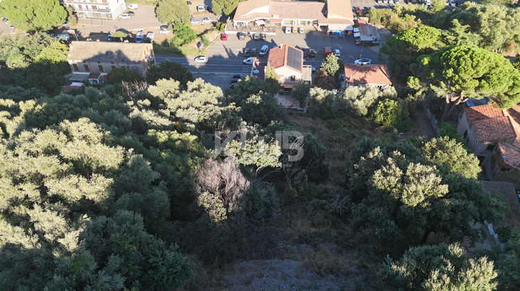 Ma-Cabane - Vente Terrain LUCCIANA, 3798 m²