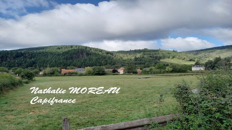 Ma-Cabane - Vente Terrain LUCENAY L EVEQUE, 10000 m²