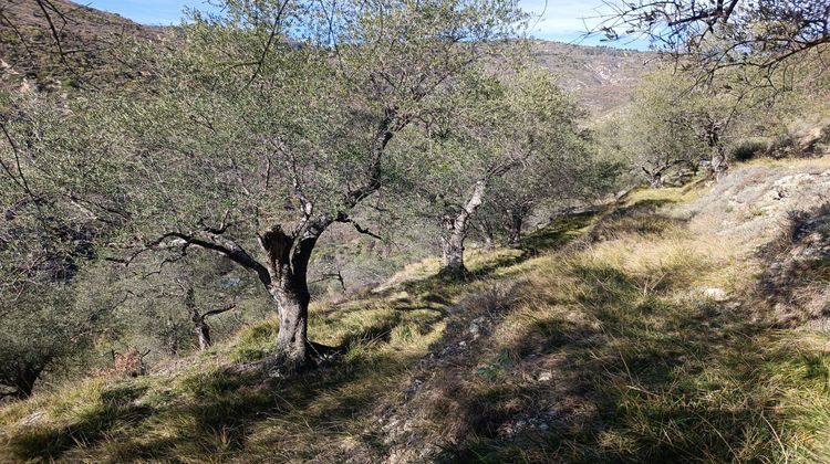 Ma-Cabane - Vente Terrain Lucéram, 8797 m²