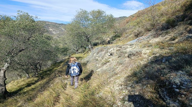 Ma-Cabane - Vente Terrain Lucéram, 8797 m²