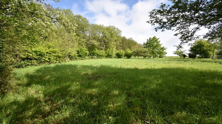 Ma-Cabane - Vente Terrain Luigny, 1796 m²