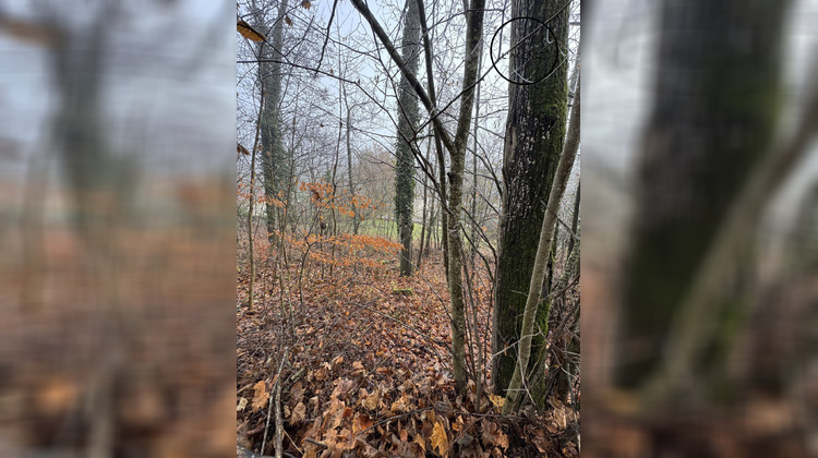 Ma-Cabane - Vente Terrain Lunéville, 983 m²