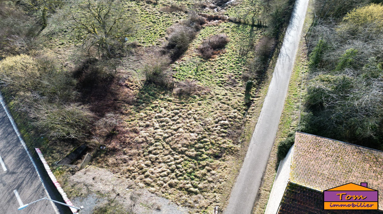 Ma-Cabane - Vente Terrain Lunéville, 650 m²
