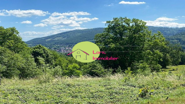 Ma-Cabane - Vente Terrain Lutzelhouse, 440 m²