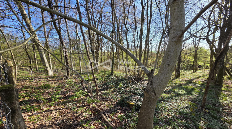 Ma-Cabane - Vente Terrain Luzy-Saint-Martin, 810 m²