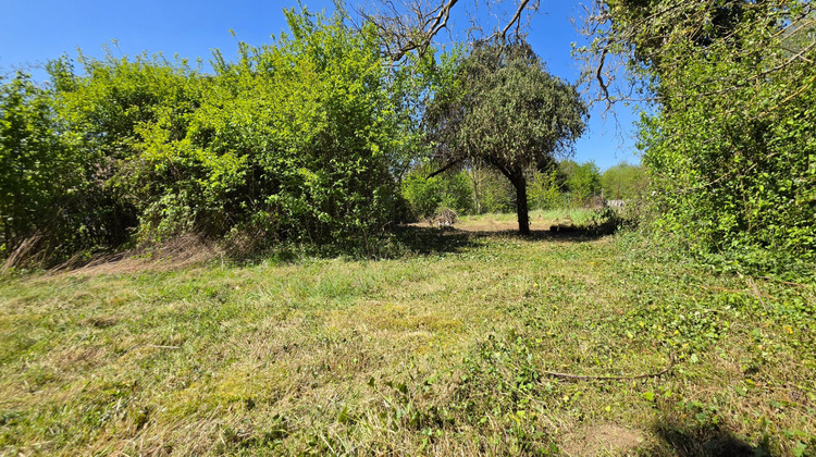 Ma-Cabane - Vente Terrain MACHEMONT, 1002 m²