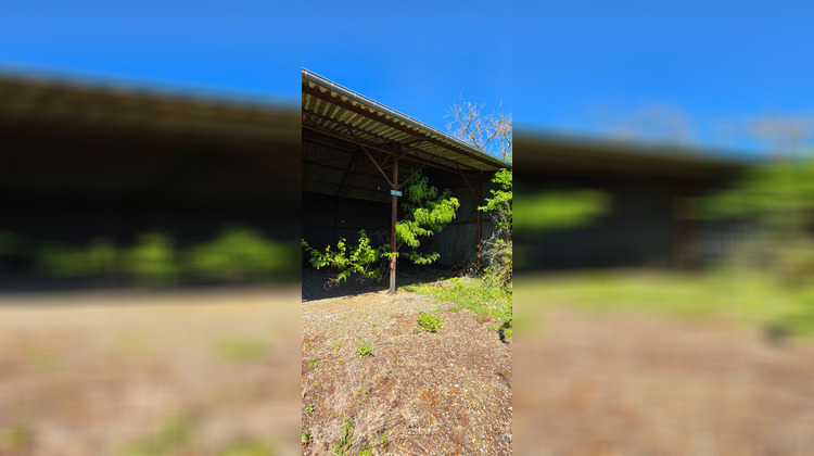 Ma-Cabane - Vente Terrain MACHEMONT, 1002 m²