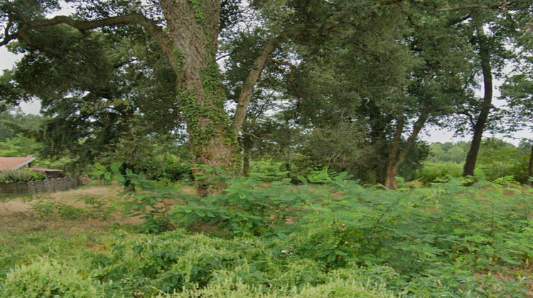 Ma-Cabane - Vente Terrain Magescq, 949 m²