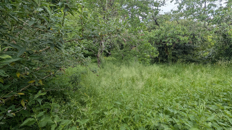 Ma-Cabane - Vente Terrain Magné, 766 m²