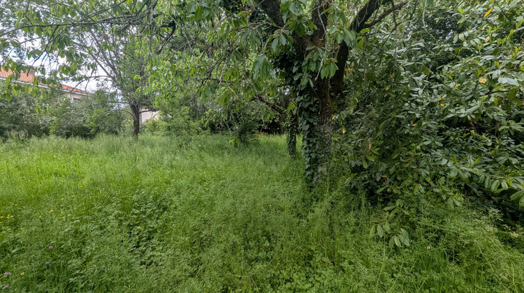 Ma-Cabane - Vente Terrain Magné, 766 m²