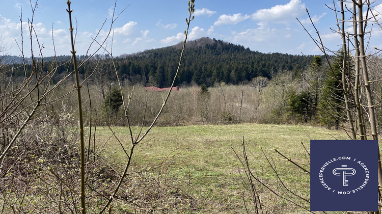 Ma-Cabane - Vente Terrain Maîche, 3673 m²