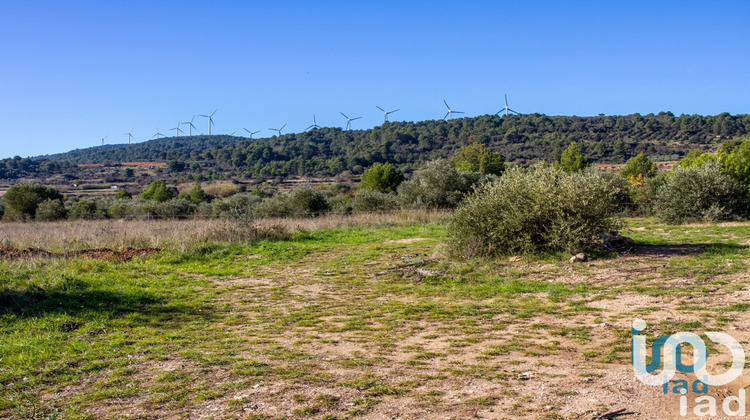 Ma-Cabane - Vente Terrain Mailhac, 1194 m²