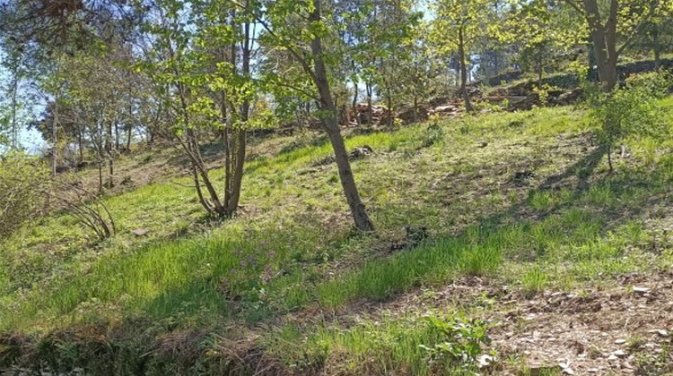 Ma-Cabane - Vente Terrain MALBOSC, 9000 m²