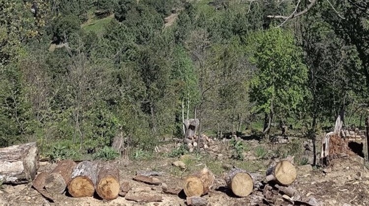 Ma-Cabane - Vente Terrain MALBOSC, 9000 m²