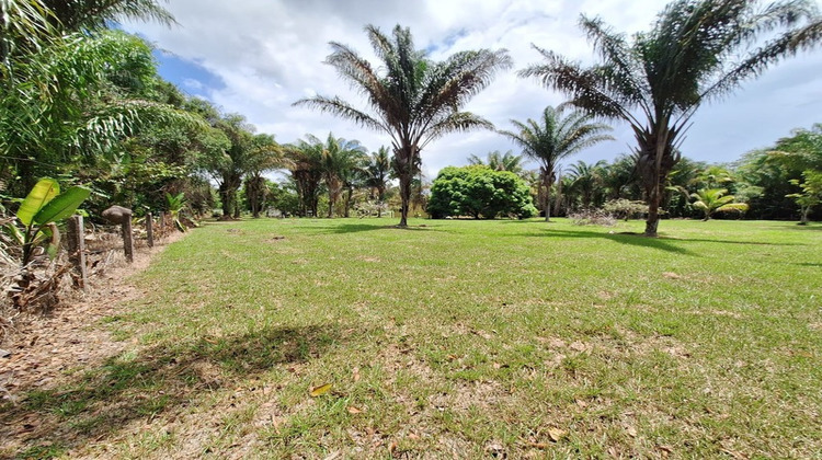 Ma-Cabane - Vente Terrain MANA, 15221 m²