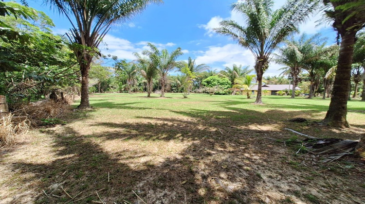 Ma-Cabane - Vente Terrain MANA, 15221 m²