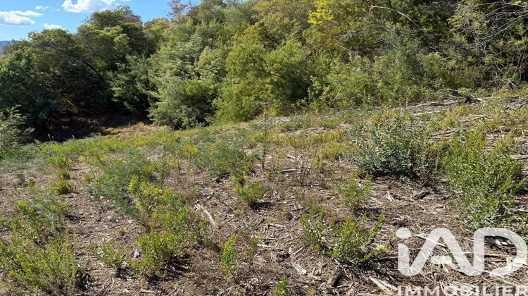 Ma-Cabane - Vente Terrain Mandelieu-la-Napoule, 2900 m²