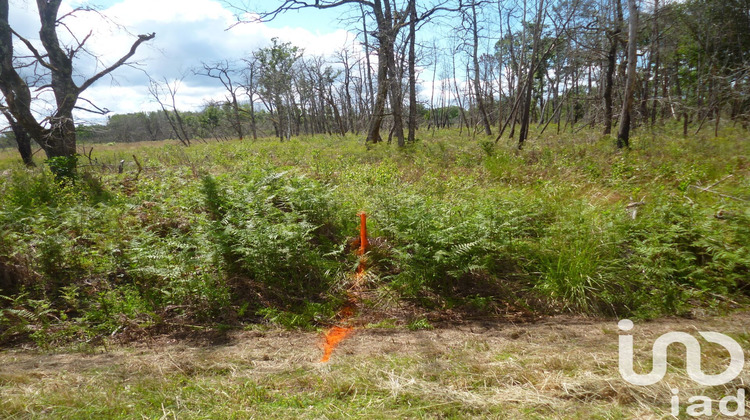 Ma-Cabane - Vente Terrain Mano, 2005 m²