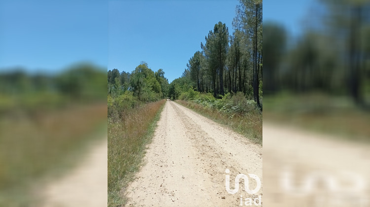 Ma-Cabane - Vente Terrain Mano, 2005 m²