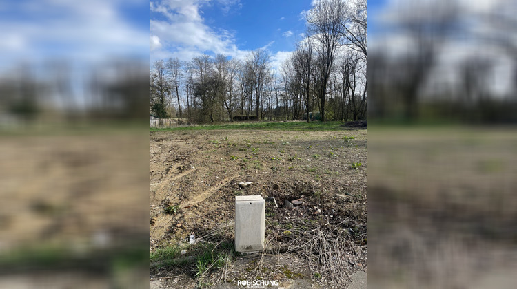 Ma-Cabane - Vente Terrain Manspach, 3127 m²