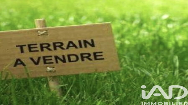 Ma-Cabane - Vente Terrain Manthelan, 7516 m²