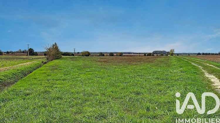 Ma-Cabane - Vente Terrain Manthelan, 7516 m²