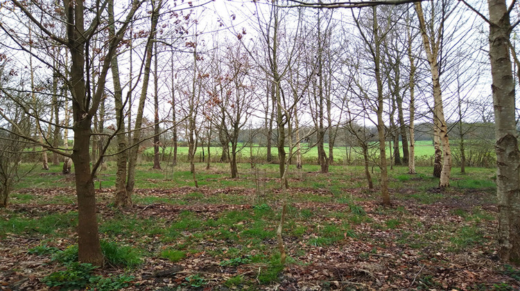 Ma-Cabane - Vente Terrain MARCILLE-RAOUL, 5230 m²