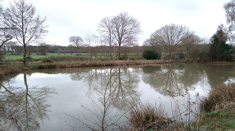 Ma-Cabane - Vente Terrain MARCILLE-RAOUL, 5230 m²