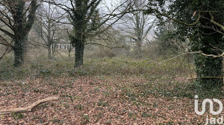 Ma-Cabane - Vente Terrain Marcoussis, 2145 m²